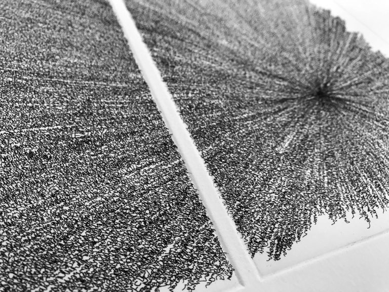 Prospectus  
Eau forte sur papier 
46 X 56 cm 
2011