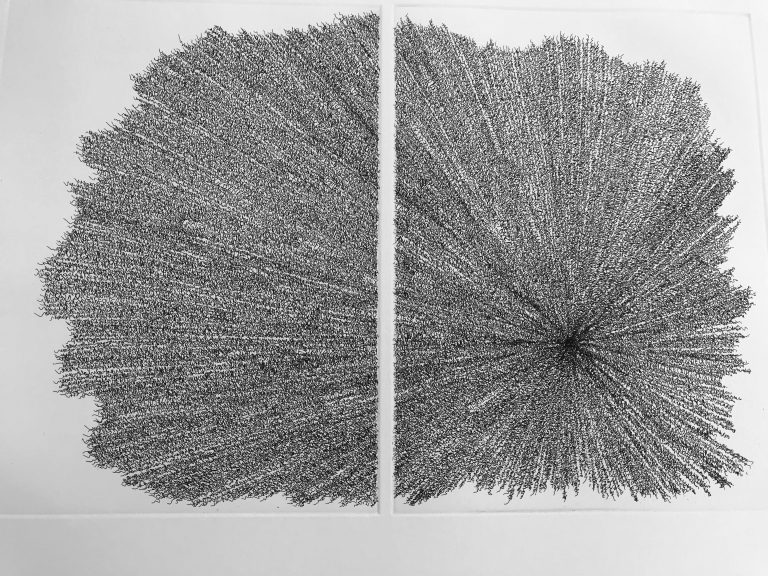 Prospectus  
Eau forte sur papier 
46 X 56 cm 
2011