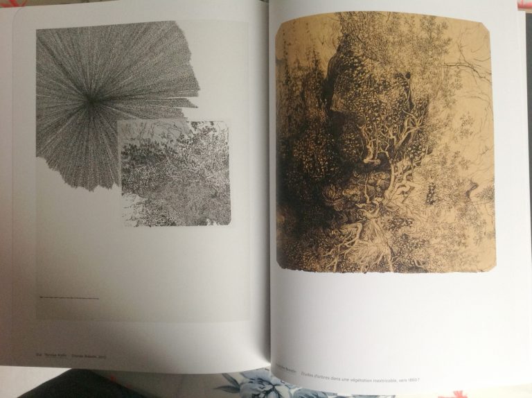 Double-page : Aiello et Bresdin, catalogue Musée d'Orsay