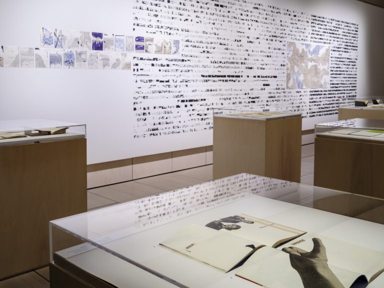 Relevés, Installation murale graphique, IMEC - exposition singuliers